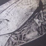 HOG - detail 1
