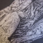 HOG - detail 2