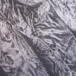 HOG - detail 4